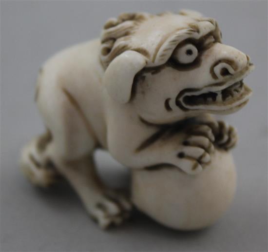 A Japanese ivory netsuke of a shi-shi, Edo period, 4cm